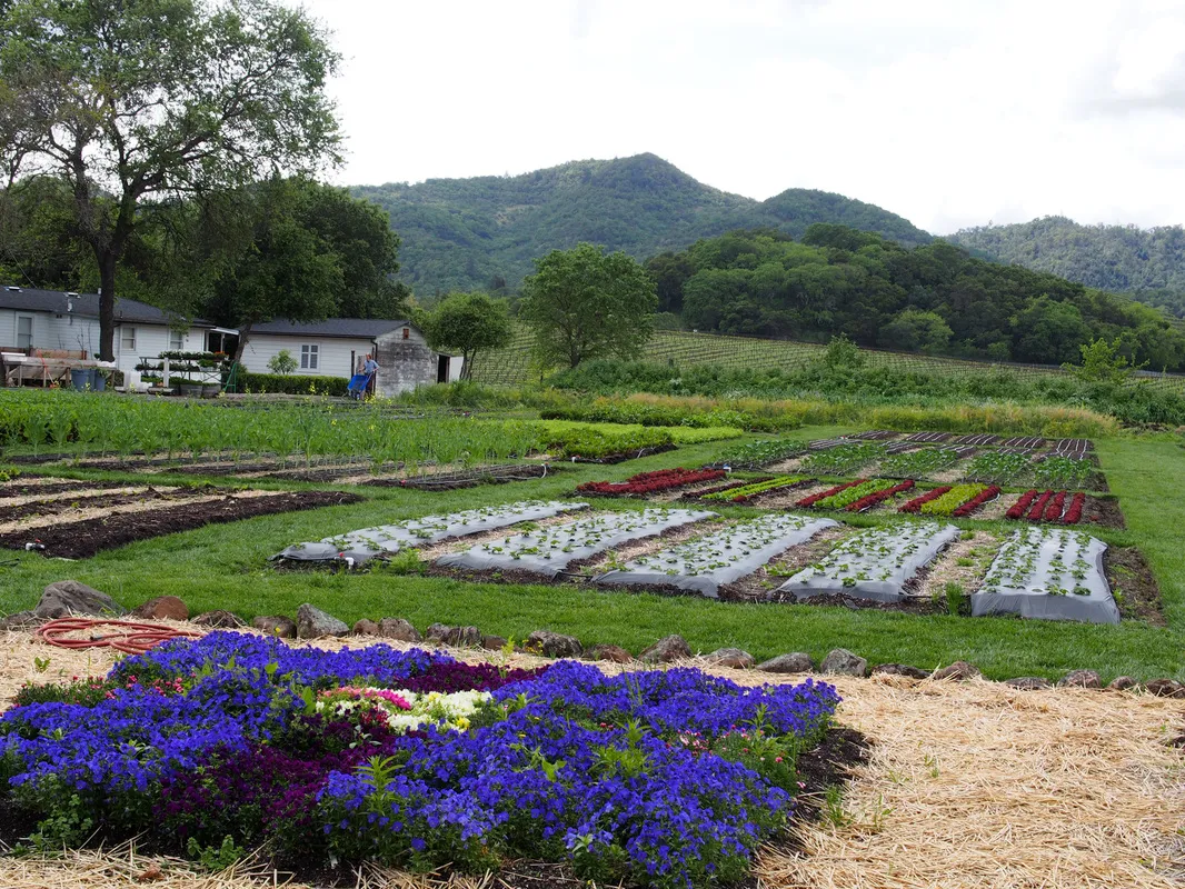 Farm